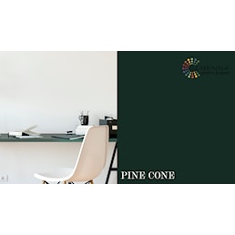 pine cone skrivebord.jpg